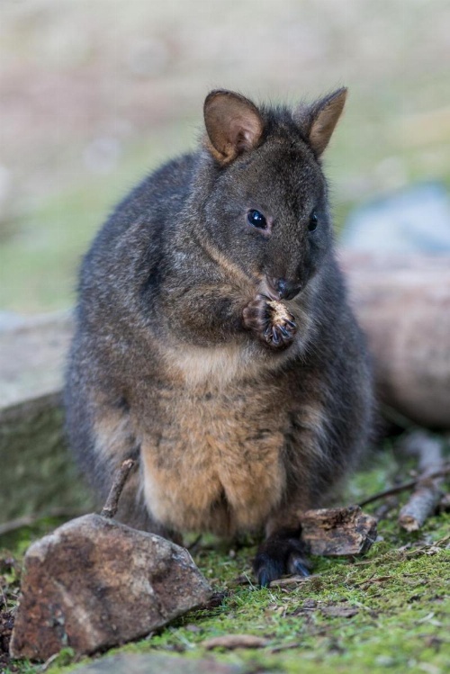 The Roundhouse image 6